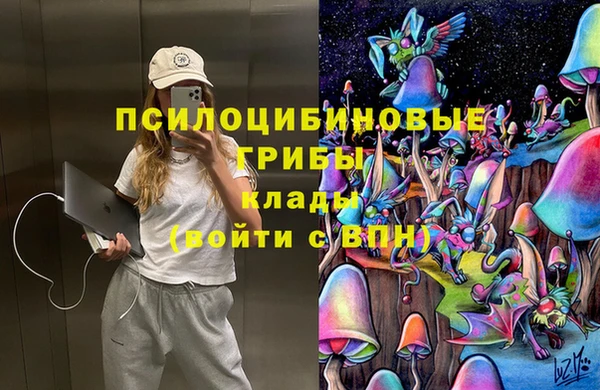 СК Покровск